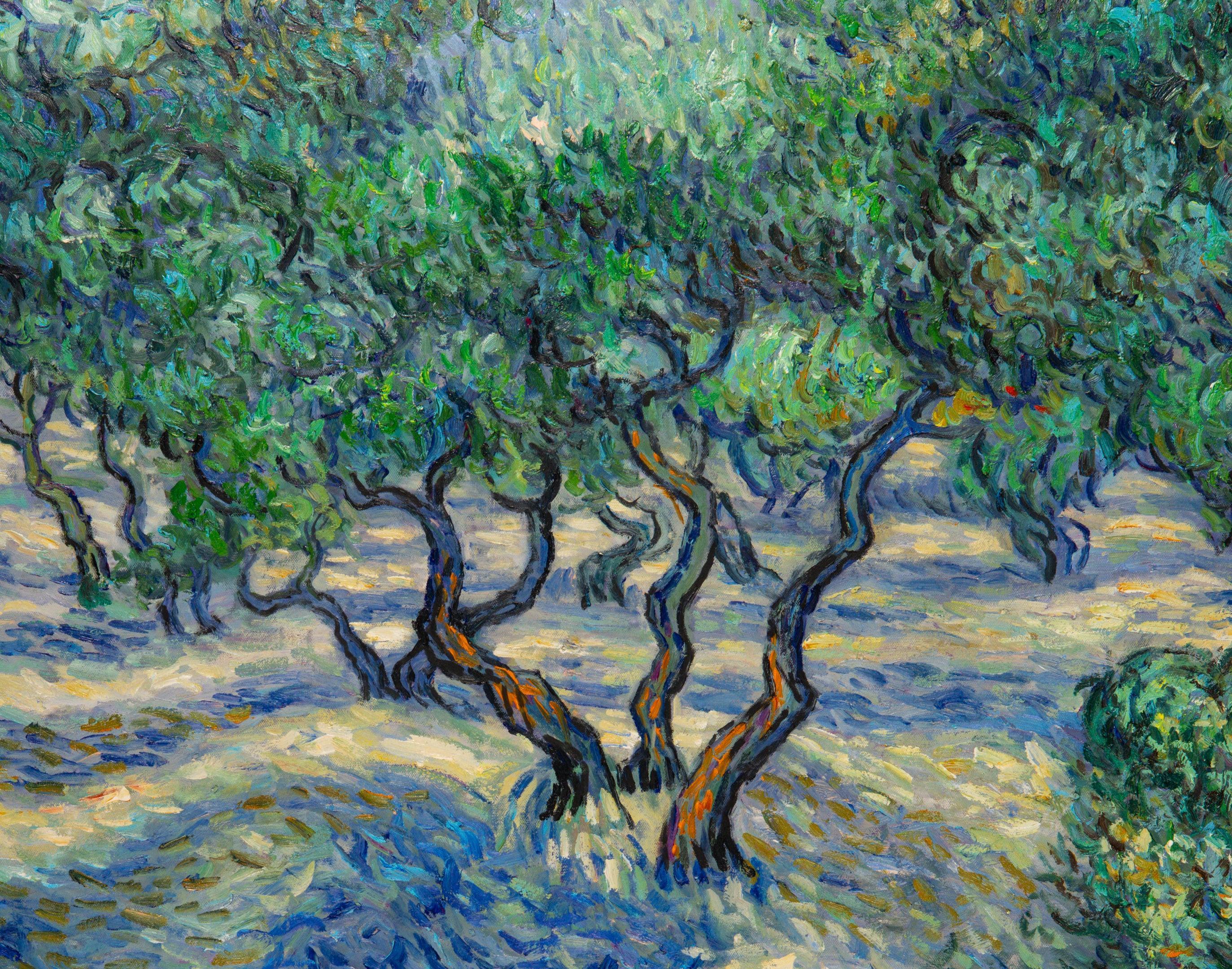 Verger d'oliviers, Van Gogh
