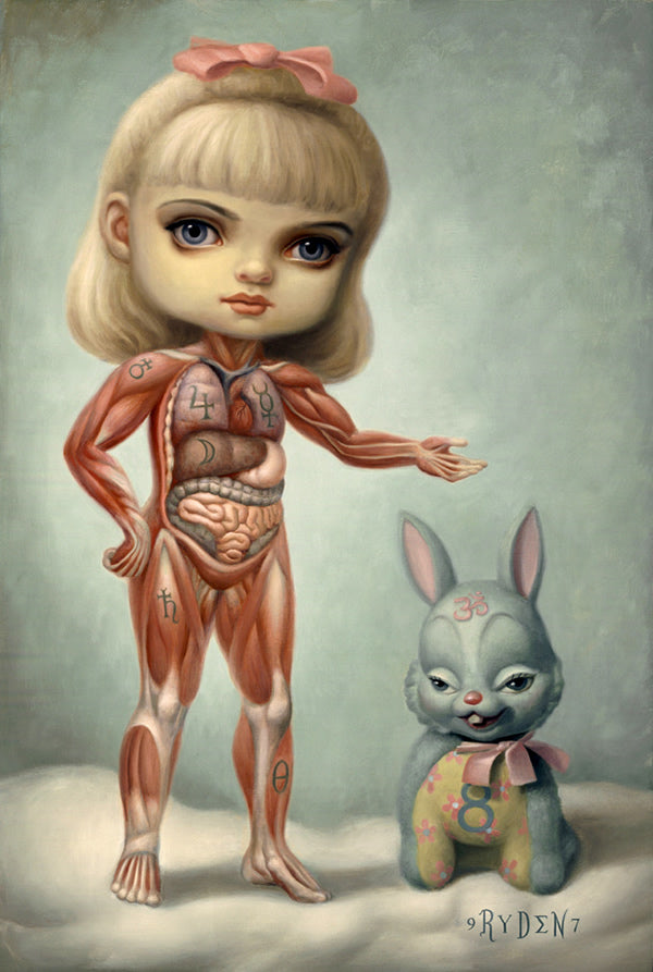 Obra anatomía humana