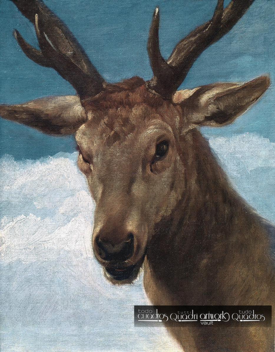 Testa di cervo, Velázquez